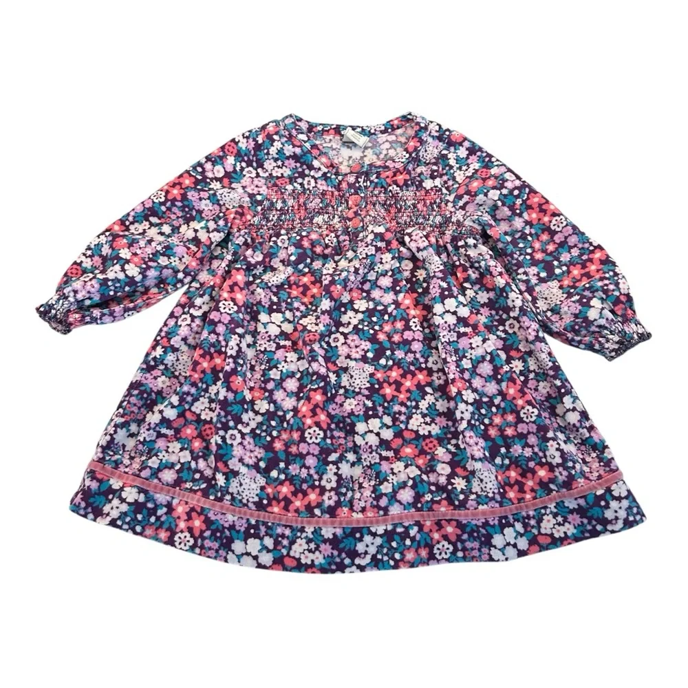 Old Navy 2011 Floral Corduroy Velvet Trim Smocked Girls Dress‎